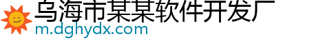 乌海市某某软件开发厂