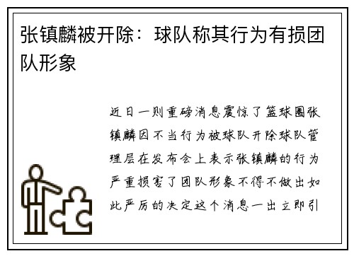 张镇麟被开除：球队称其行为有损团队形象